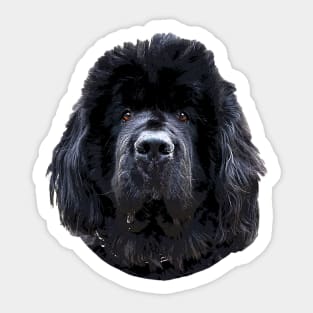 Newfoundland Puppy Dog Sticker